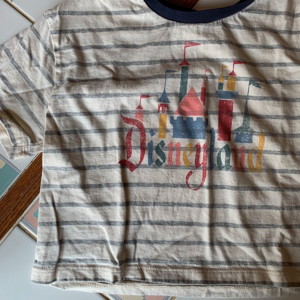 Disneyland Merch Striped Crop T-Shirt
